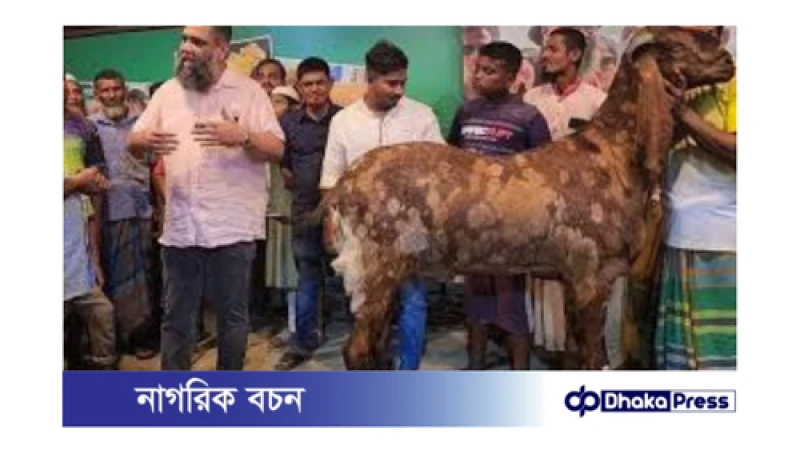১৫ লাখ টাকার ছাগল: যশোর থেকে ১ লাখ টাকায় কেনা!