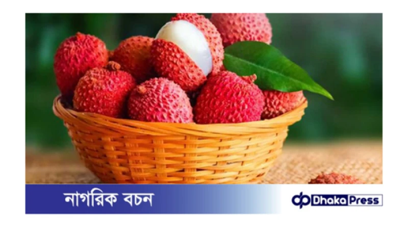 তাজা লিচু চিনবেন যেভাবে