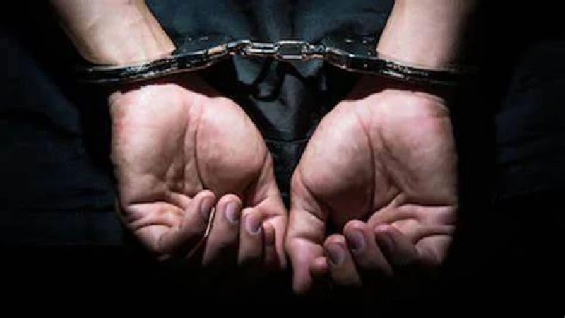 ঘাটাইলে নারীসহ তিন মানব পাচারকারী আটক