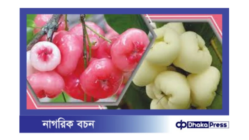 জামরুলের স্বাস্থ্য উপকারিতা: