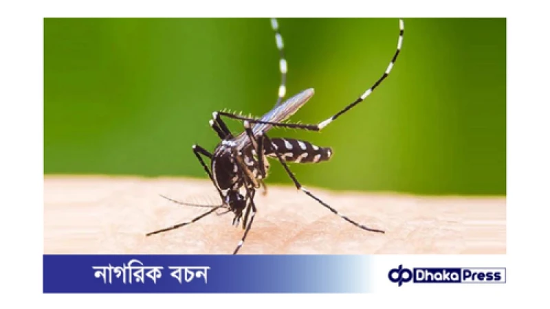 ডেঙ্গুতে আরও একজনের মৃত্যু, হাসপাতালে ভর্তি ৪৯ জন
