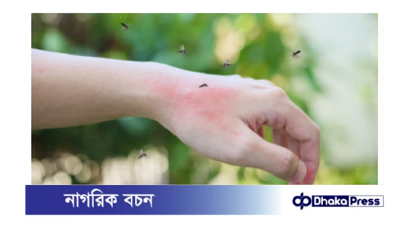 বর্ষায় ডেঙ্গু-ম্যালেরিয়া থেকে বাঁচতে করণীয়