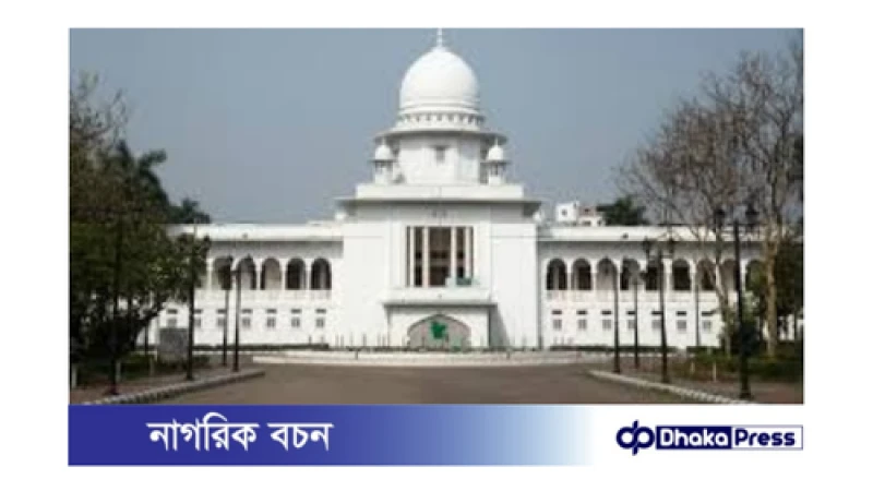 ৬ মাস বয়সী শিশুর পিতৃত্বকালীন ছুটির জন্য রিট