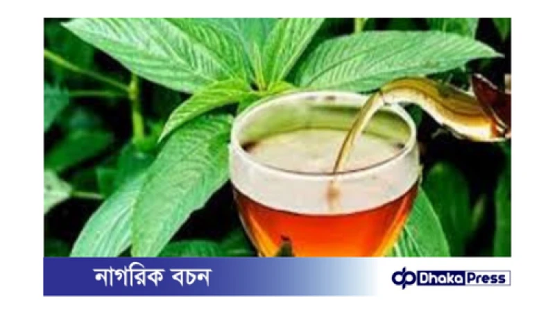 পাটের চা শিগগিরই বাজারে!