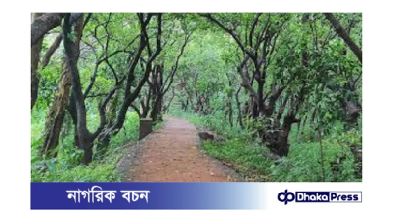 দেশের ৬ টি উদ্যান ও ইকোপার্কে প্রবেশমূল্য ৫ গুণ বৃদ্ধি: