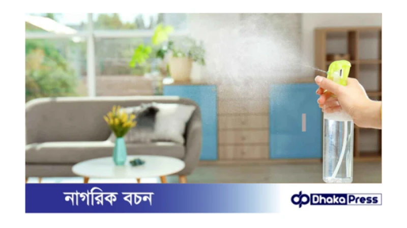 টানা বৃষ্টিতে ঘরে ভ্যাপসা গন্ধ দূর করার উপায়