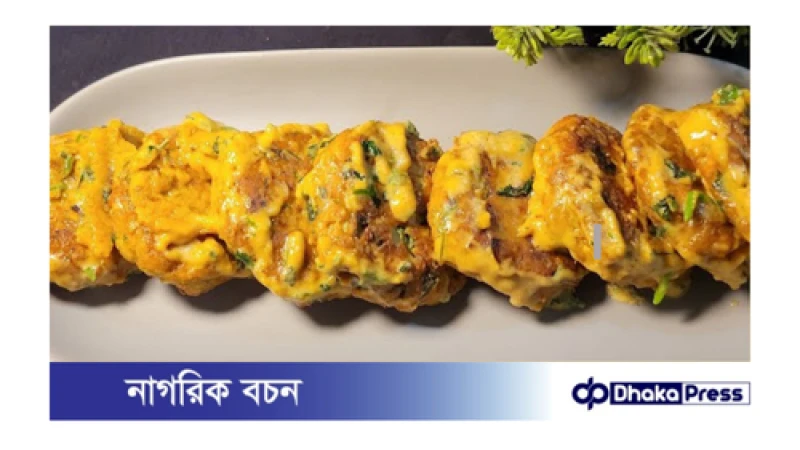 চিকেন কাবাব মালাইকারি রেসিপি