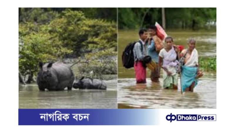 আসাম বন্যায় ৫৮ জন নিহত, ক্ষতিগ্রস্ত প্রায় সাড়ে ২৪ লাখ মানুষ
