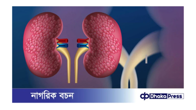  কিডনি ভালো রাখে  যে ফল 