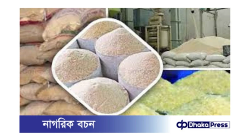 চালের দাম বৃদ্ধির কারণ: সিন্ডিকেটের চালবাজিই মূল অপরাধী