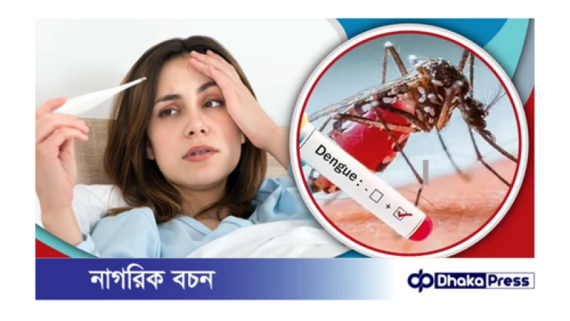 সাধারণ জ্বর না ডেঙ্গু ?