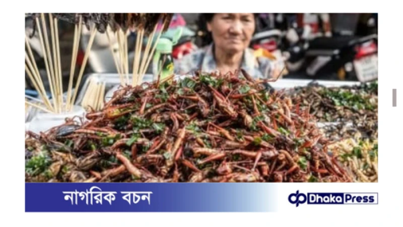 ১৬ প্রজাতির কীটপতঙ্গ খাওয়ার অনুমোদন দিয়েছে সিঙ্গাপুরের খাদ্য সংস্থা