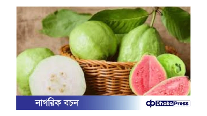 পেয়ারা: ভিটামিন সি-এর পাশাপাশি আরও অনেক গুণ সমৃদ্ধ