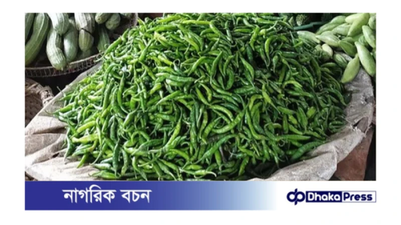 ঝিনাইদহে প্রতিকেজি কাঁচা মরিচ বিক্রি হচ্ছে ৪২০ টাকা দরে